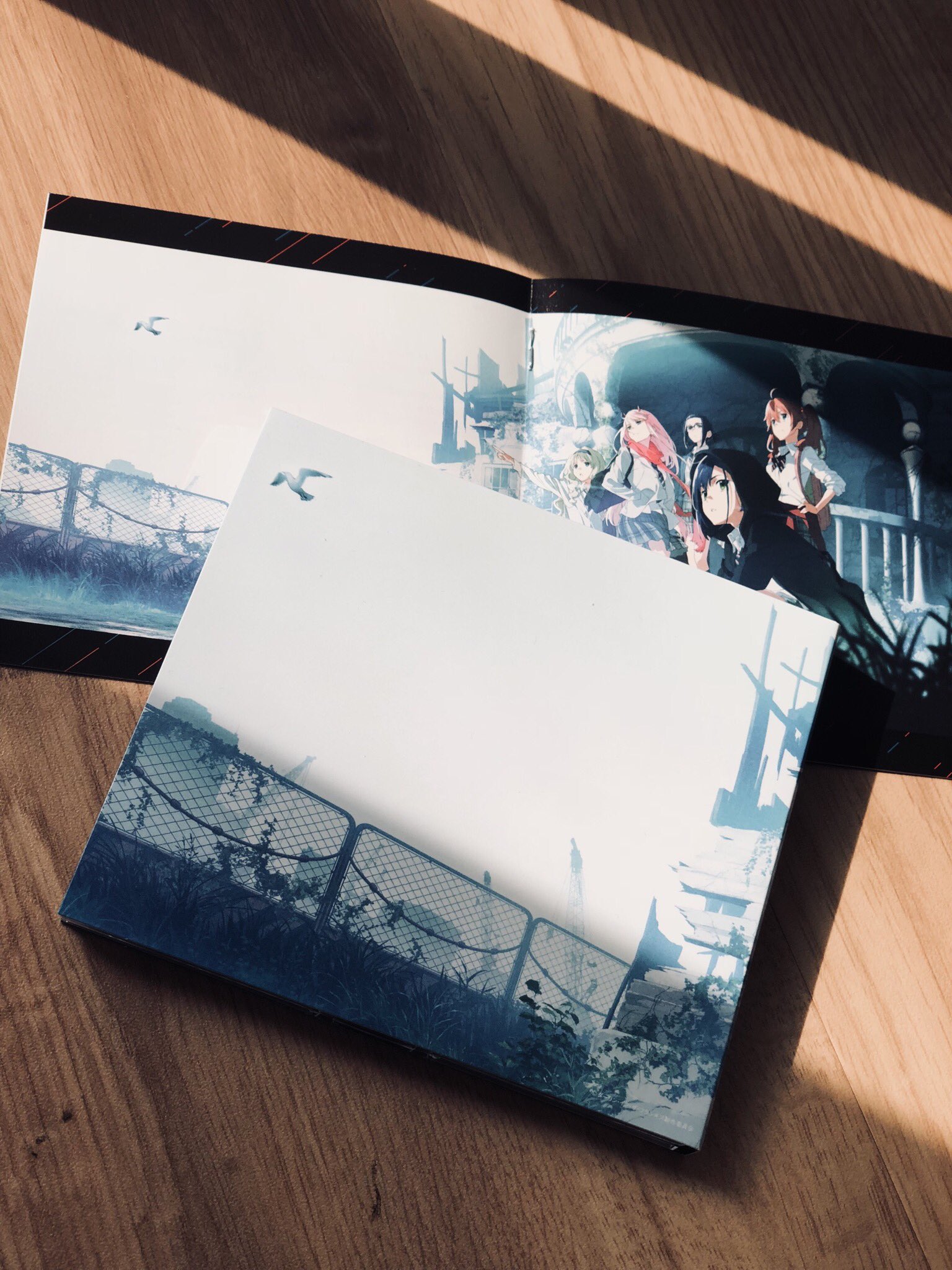 two anime dvds are displayed on a wooden floor, bathed in natural sunlight streaming through a window. the dvds feature artwork of anime characters against an urban landscape. the packaging is sleek and minimalist, showcasing the vibrant colors of the anime art.  the sunlight casts distinct shadows, adding depth and texture to the scene.