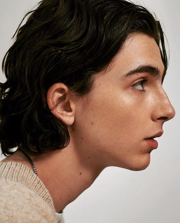 a portrait of a man in side profile, identified as timothée chalamet. he has wavy brown hair, fair skin, and is wearing a sweater and a necklace. he is looking upwards.