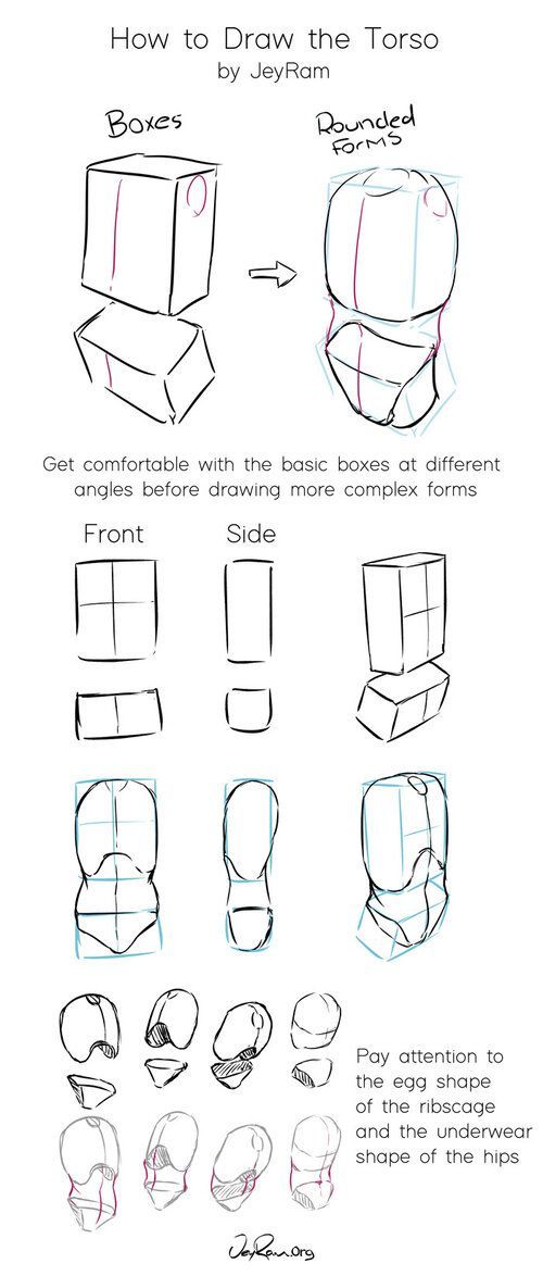 it's a digital illustration tutorial depicting the process of drawing a human torso, broken down into simplified forms like boxes and rounded shapes. the tutorial focuses on understanding the basic structure and angles of the torso before adding details.