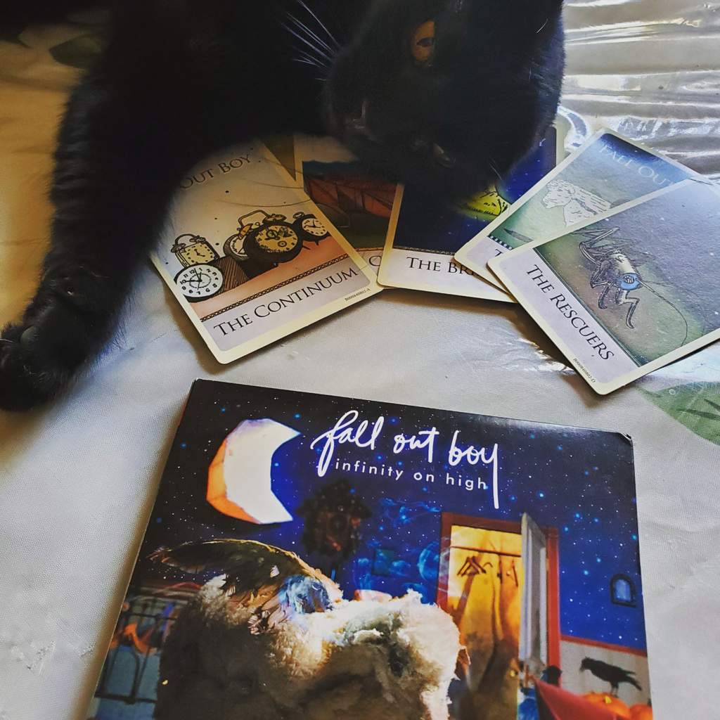 a closeup of a black cat laying on a surface with a fall out boy album and a spread of tarot cards. the album cover is blue with a crescent moon and stars and says fall out boy infinity on high. the tarot cards are face up and include: "the rescuers," "the continuum," "the bridge," and "out boy."