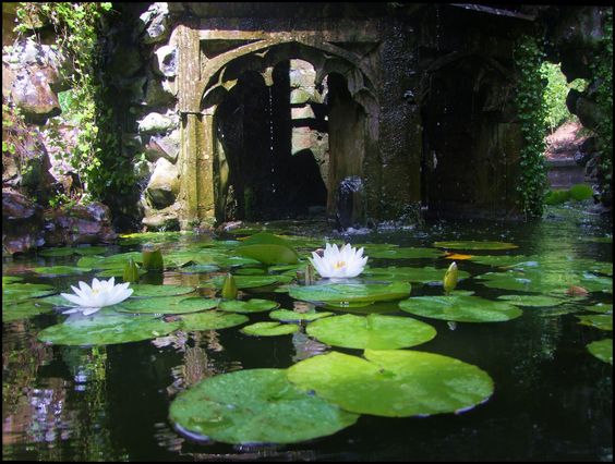 a stone archway, likely part of a ruined building, stands at the edge of a pond covered in lily pads. three white water lilies are in bloom. lush green vegetation covers the stones, indicating a humid, perhaps tropical environment.  the pond reflects the archway, plants, and sky.