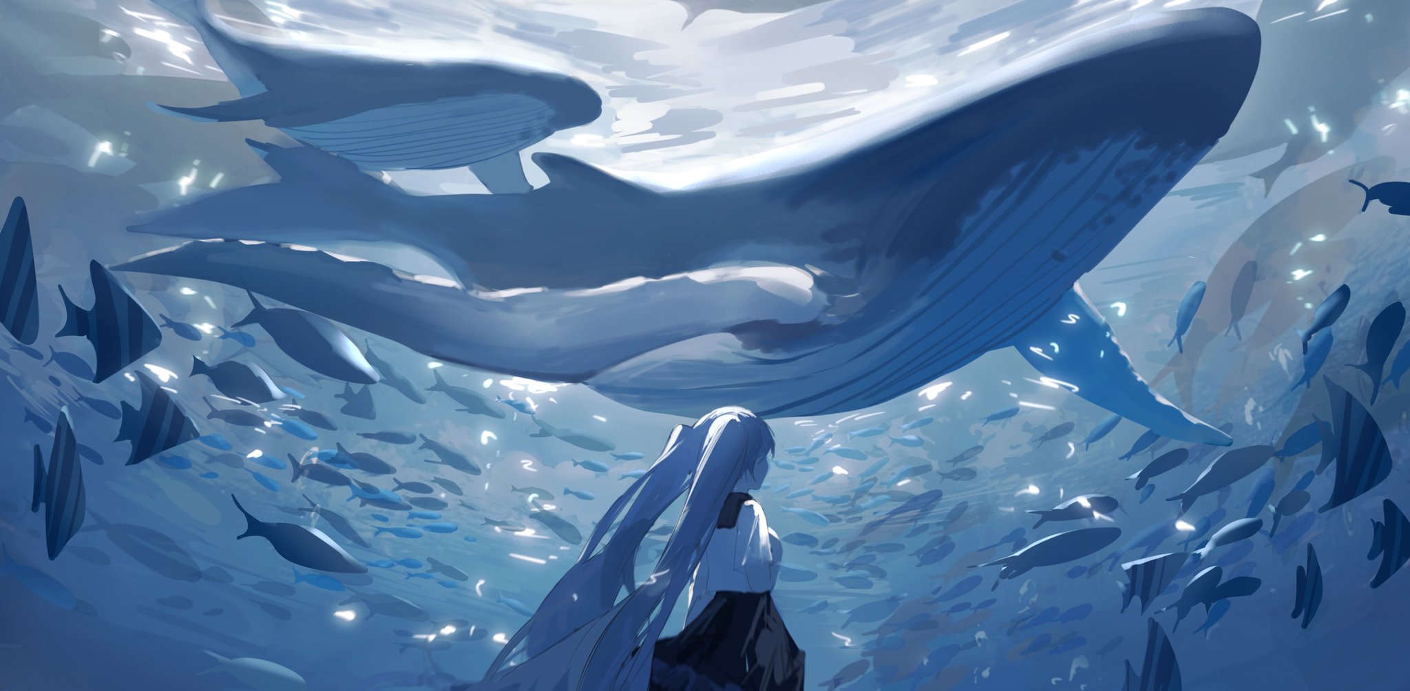 the image is a digital painting or illustration featuring an animestyle girl with long, light blue twintails.  she is positioned in the middle of a vast underwater scene, seemingly gazing upwards at a massive humpback whale swimming above her. the whale is rendered with soft, blue hues, and surrounded by a large school of various smaller fish. the overall color palette is predominantly blues, creating a tranquil and ethereal atmosphere. the style suggests a blend of realism and fantasy, with the anime character inhabiting a beautifully rendered, yet slightly fantastical, underwater environment.  the lighting is soft and diffused, highlighting the peaceful ambiance of the scene. the girl's attire is simple, a white top and dark skirt, emphasizing the natural wonder of the surrounding environment.  the scene evokes a sense of calm and wonder.
