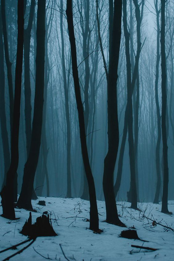a gloomy, misty forest scene in winter. the ground is covered in snow and leafless trees stand tall with their dark trunks contrasting against the white ground and hazy background. the fog adds an eerie and mysterious atmosphere to the landscape. a tree stump is visible in the foreground.