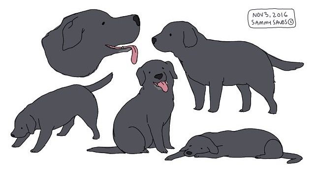 the image is a collection of five stylized drawings of black labrador retrievers in various poses.  the style is simple, almost cartoonish, with minimal detail.  the dogs are depicted in a greyblue color. one dog is shown from the side, another from the back, one is shown in profile looking to the left, another is sitting and one is lying down.  the drawings appear to be a collection of character sketches or studies and have the artist's name and date in the top right corner.