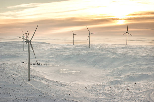 a panoramic view of a wind farm in a snowy landscape. the wind turbines stand tall against a backdrop of white snow, with the horizon disappearing into a hazy sunset.  the sky is a mixture of pink and orange, with a few wispy clouds.  the snow covers the landscape, creating a serene and vast vista.  the image captures the power and beauty of renewable energy in a remote and unforgiving environment.  the frozen lake in the foreground adds a touch of solitude and tranquility to the scene.