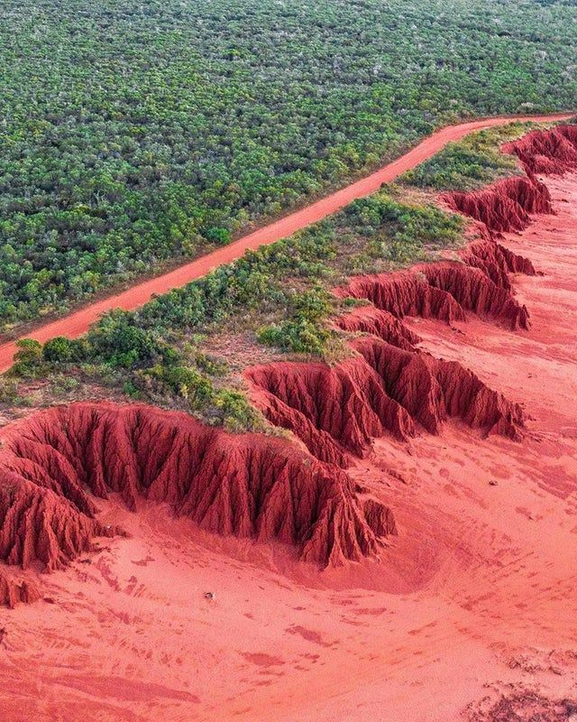 an aerial view of a red sand landscape with red rock cliffs and a dirt road winding through a lush green forest. the red sand covers the ground, and the red rock cliffs rise up on the right side of the image. the forest is on the left side of the image, and the road is in the middle. the image is a beautiful example of the power of erosion and the beauty of the natural world.