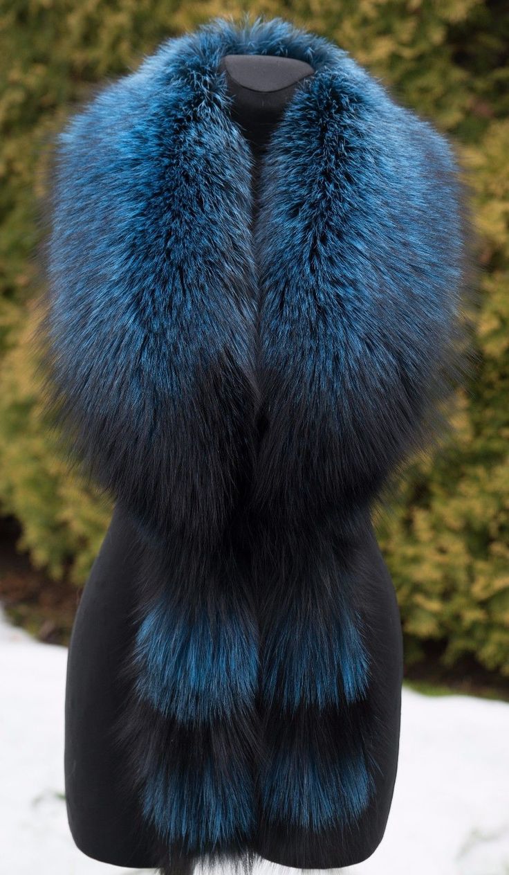 a closeup shot of a luxurious blue fox fur collar. the collar is large and fluffy, with a deep blue hue that is both elegant and striking. it is draped over a black mannequin, showcasing its versatility and style. the collar is a statement piece that can instantly elevate any outfit, making it perfect for winter fashion. the fur is soft and luxurious, and the overall effect is both chic and timeless.