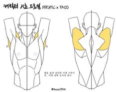 the image is an anatomical reference guide for artists learning to draw the human male back and shoulder muscles. it features a simplified figure outline with highlighted areas representing the trapezius muscles. the text appears to be korean, possibly indicating the artist's origin or target audience.