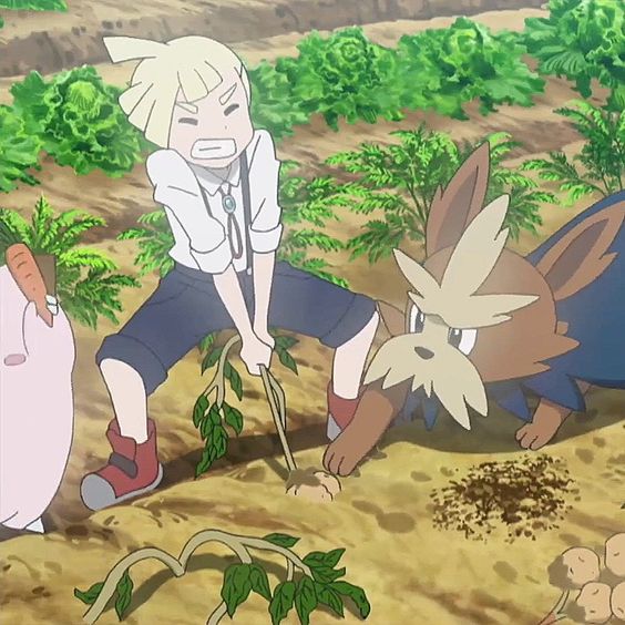 a young boy, with blonde hair in a ponytail, and wearing a white shirt and dark blue pants, is shown digging into the ground with a stick. he is attempting to harvest a potato plant. next to him is his companion, a brown furry doglike pokemon with large ears and a blue collar. it is watching the boy intently. behind them are patches of green leaves and dirt.