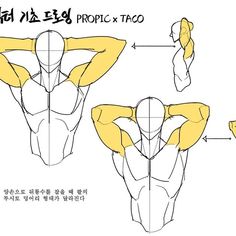 this image is a tutorial on how to draw arm muscles from different angles. it features three sketches of a muscular torso, with the arms raised in different positions. the muscles are highlighted in yellow, with arrows indicating the direction of the muscle fibers. the text is in korean and provides instructions and tips for drawing realistic muscles.