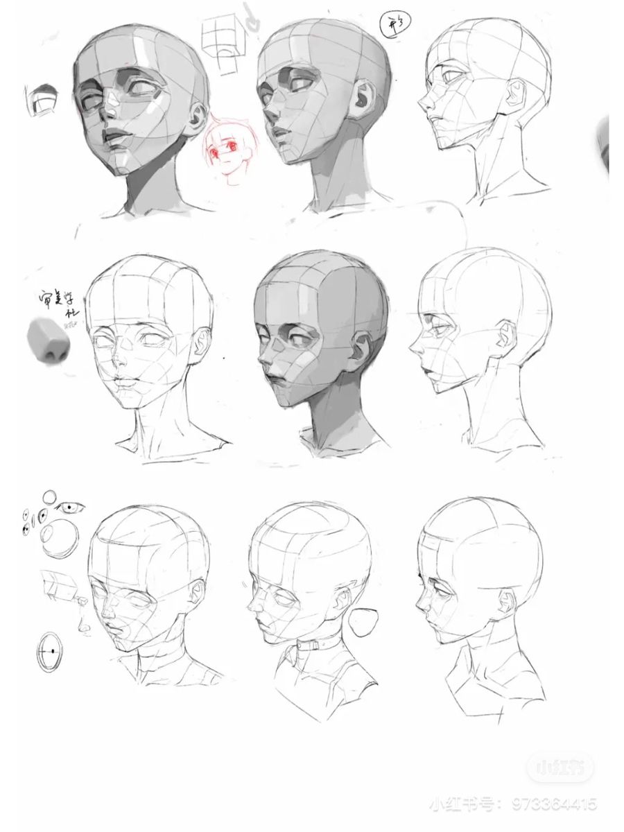 the image is a drawing tutorial showcasing how to draw a human head from various angles. it employs a gridbased method for accurate proportions and features. the tutorial progresses from basic shapes to more detailed sketches, highlighting facial features and shading techniques.