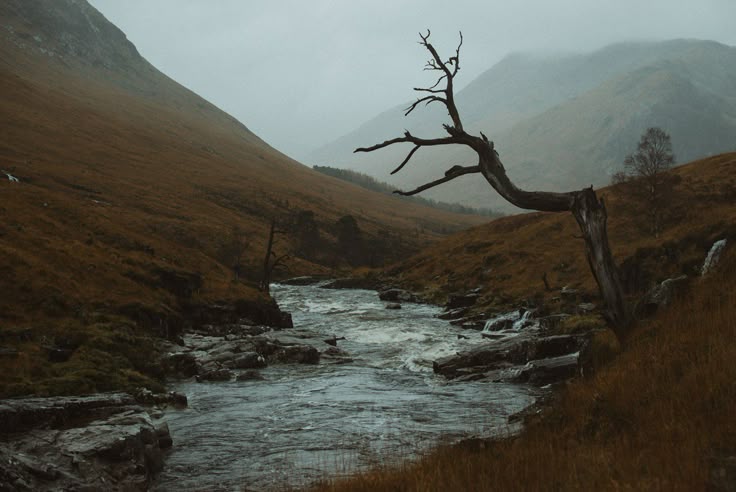 a landscape photograph captures a valley with mountains shrouded in mist. a river flows through the valley, its water cascading over rocks. in the foreground, a dead tree stands, its bare branches reaching towards the sky. the colors are muted, with browns and grays dominating the scene, creating an autumn mood. the location appears to be the scottish highlands, possibly glencoe.