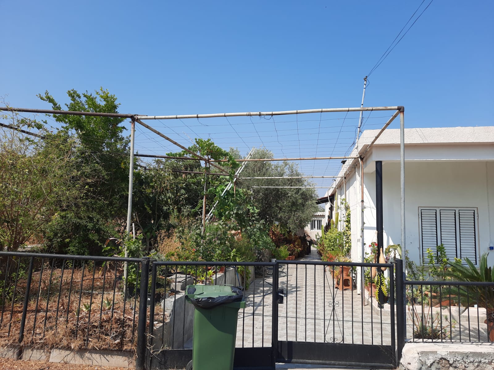 the image shows a view of a house from the outside. there is a black fence in the foreground with an open gate. behind the fence, a green trash can is visible. the path from the gate leads towards the house, lined with various plants and trees. a metal pergola structure is positioned over the path. the house has a white exterior and a window with closed shutters is visible on the side of the house. the sky is clear and blue.