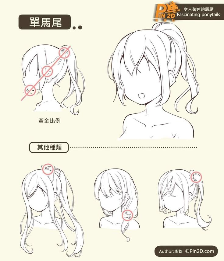 the image is a drawing tutorial focusing on how to draw various animestyle single ponytails.  it starts with a basic example showing the ideal proportions ("黃金比例" or "golden ratio") for a ponytail and then presents several variations of the single ponytail style, each with slightly different placement and styling of the hair. the tutorial is presented in a clean, minimalist style with line art illustrations. the text is primarily in chinese, but includes the english phrase "fascinating ponytails."