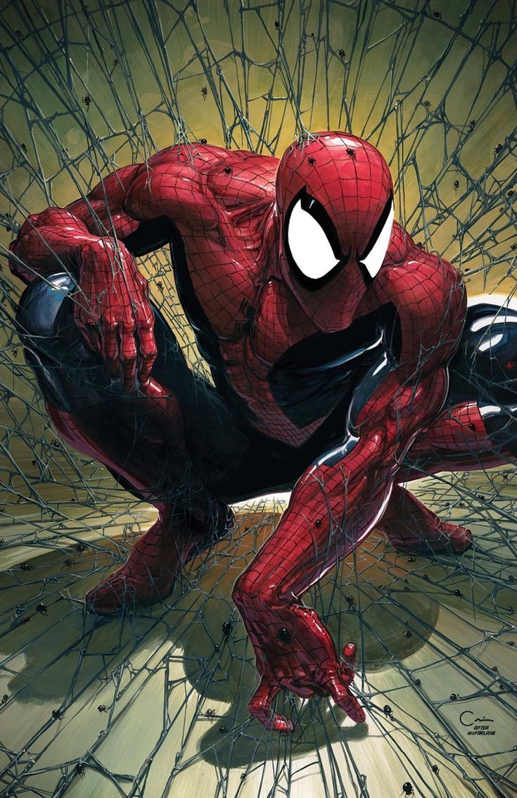 this image is an illustration of spiderman, a superhero from marvel comics. he is depicted in his red and blue suit, with a mask covering his face, crouching in a spiderweb. the background is black, and the spiderweb is very detailed. the artwork is very dynamic and shows spiderman in a powerful pose.