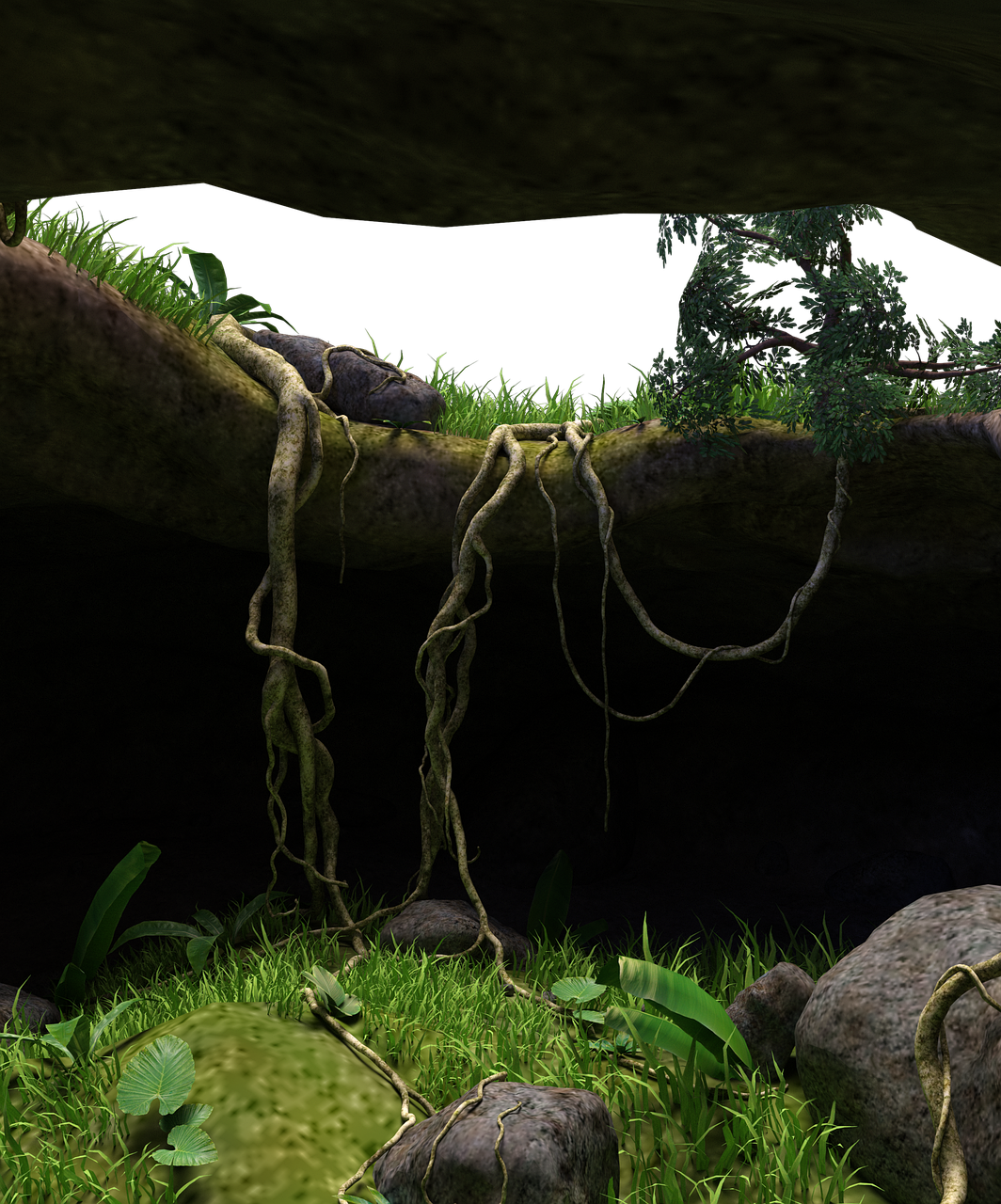 the image depicts a dark and lush jungle scene, possibly within a cave or grotto. a thick, mossy branch stretches across the upper portion of the frame, with numerous vines hanging down. the vines are a light tan color and appear to be aerial roots of some kind. above the branch is dark and undefined, suggesting a cave roof. below, the ground is covered in green grass, various plants, and several rocks, some of which are also covered in moss. the overall impression is one of a humid, overgrown environment.