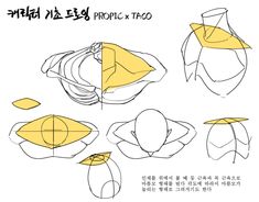 the image is a black and white anatomical drawing of a human torso, highlighting the chest area. the drawing includes multiple perspectives and simplified shapes to aid in understanding the form and structure of the chest.  the yellow color highlights a specific area of the chest.