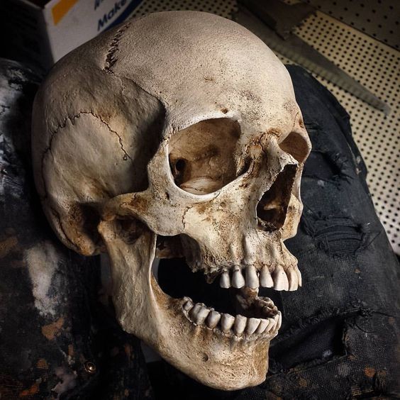 a closeup of a human skull, looking to the right with the jaw open, showing off the teeth. the skull is on a black fabric surface and is illuminated, highlighting the texture of the bone.