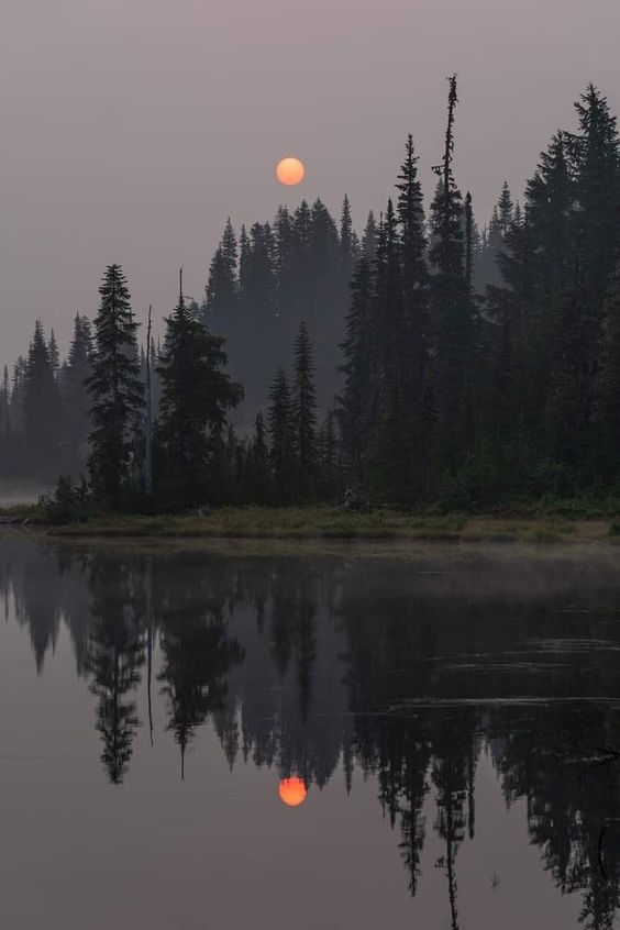 the image showcases a serene lake reflecting a smoky sunset. the setting sun, a hazy orange orb, hangs low in the sky, casting an ethereal glow over the surrounding forest.  the silhouettes of evergreen trees, cloaked in a veil of smoke, are mirrored perfectly in the still water of the lake.  the overall palette is muted, with grays, greens, and blues dominating the scene, creating a sense of quietude and tranquility despite the evident presence of wildfire smoke.