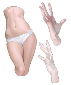a drawing of a woman's torso, legs, and hands. the torso is wearing white panties and the legs are posed together. there are two hands drawn separately from the body in different poses.