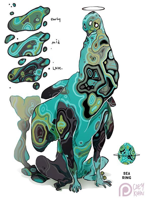 the image is an artistic rendering of a mythical creature known as a "sea ring". the creature is primarily colored in shades of teal, black, and green, with an agate or stonelike pattern covering its body. to the left of the creature, there are three beanshaped forms labeled "early," "mid," and "late," which depict potential developmental stages of the creature or its patterns. the creature itself is seated with a long neck and a halo above its head. to the bottom right, there's an egg with a ring around it, further illustrating the "sea ring" concept. the artwork is signed by coey kuhn.