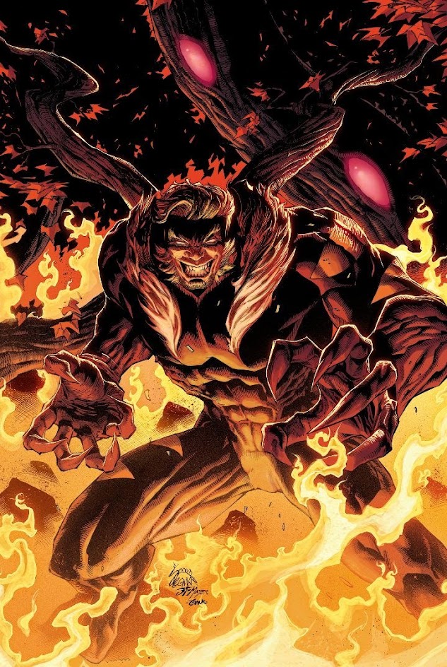 a digital art illustration of sabertooth from marvel comics. he is a muscular humanoid creature with brown fur and claws. he is covered in flames and looks angry and ferocious. he is standing in a fiery inferno. his claws are outstretched and his eyes are glowing red. he appears to be in a position of power, ready to attack.