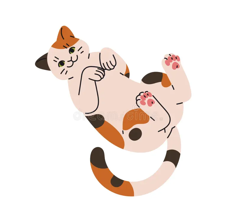 the image shows a cartoon illustration of a calico cat lying on its back. the cat has a whimsical, cute expression with black lines for whiskers, a small smile, and wide green eyes. it has patches of tan, brown, and white fur. the cat's tail is curved upward, and its paws are in the air, showing its pink paw pads. the background is plain white.