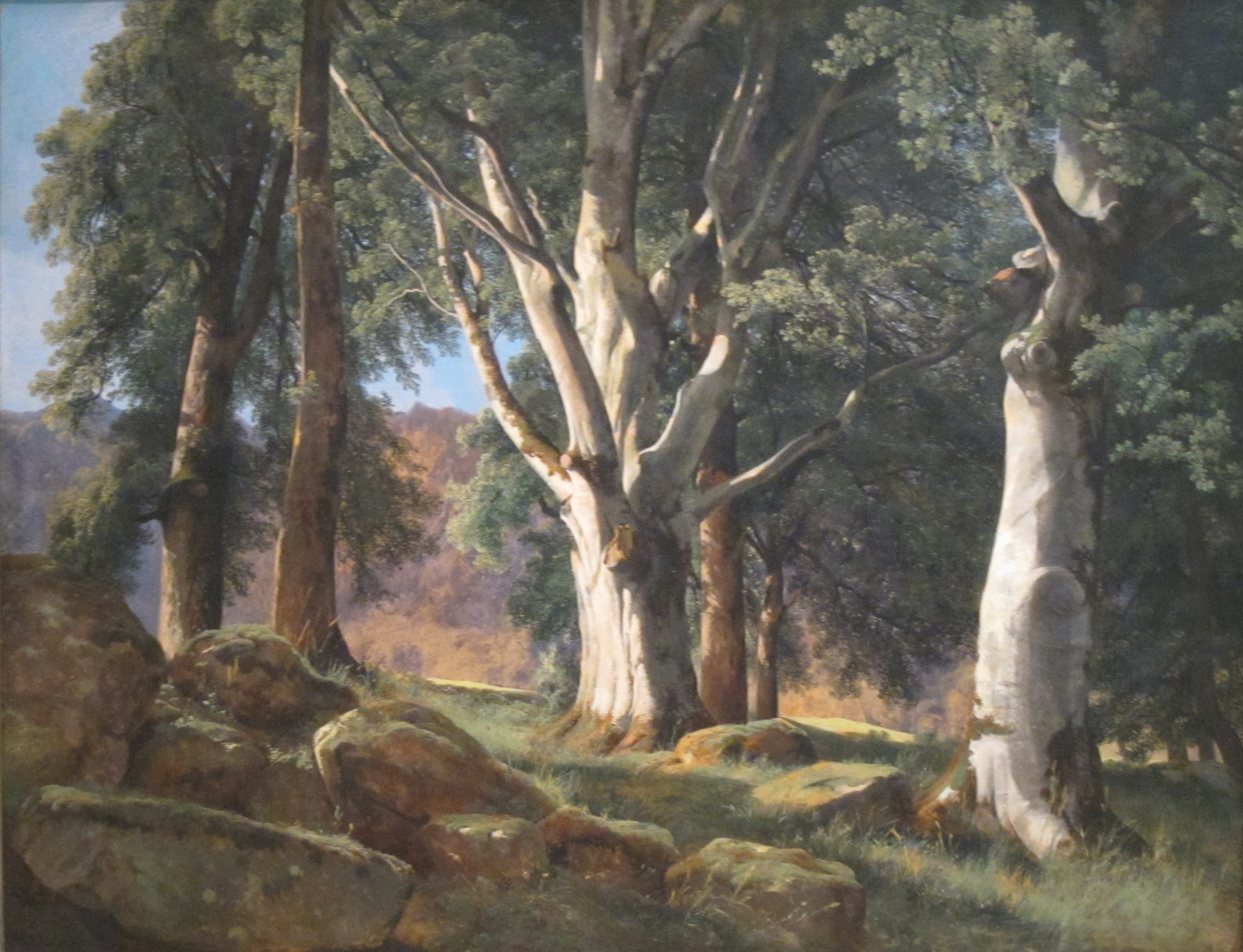 a landscape painting depicting a forest scene with large trees, rocks, and green foliage. sunlight filters through the trees, creating shadows and highlights on the ground. the foreground features large rocks covered in moss and grass, while the background reveals more trees and a hint of a distant landscape.