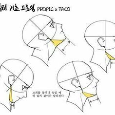 the image is a drawing tutorial showing how to draw the neck at different angles. it features four different head and neck sketches, with lines indicating the structure and placement of the neck muscles. the text appears to be korean, likely providing instructions or tips for the tutorial.