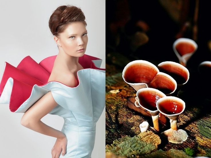 the image is split into two halves. on the left side, a woman is wearing a pink and blue dress with ruffles. on the right side, a cluster of red and white mushrooms are growing in a forest. the image creates a surreal contrast between the human form and the natural world.
