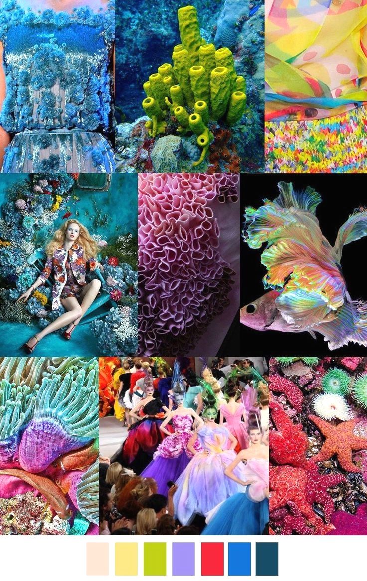 this image is a mood board for a fashion designer. it uses a variety of images to inspire the design of a new collection. the mood board is divided into nine sections, each with a different image that represents a different aspect of the design.the top left section shows a closeup of a blue fabric with floral embellishments. this is likely a fabric that could be used to make a dress. the top center section shows a closeup of a green sponge in the ocean. the sponge is covered in pores, which could be used as inspiration for a new pattern. the top right section shows a closeup of a colorful fabric with a floral pattern. this fabric could be used to make a dress or a top. the middle left section shows a woman wearing a floral dress sitting on a rock in the ocean. the woman is surrounded by coral and other marine life. this is likely a design inspiration for a summer collection. the middle center section shows a closeup of a pink fabric with a textured surface. the fabric looks like it is made of ruffles or petals. this is likely a fabric that could be used to make a skirt or a blouse.the middle right section shows a closeup of a colorful fish swimming in the ocean. the fish is iridescent, which could be used as inspiration for a new color palette.the bottom left section shows a closeup of a pink and blue coral. the coral has a soft, organic texture. this is likely a design inspiration for a new fabric or a new print.the bottom center section shows a group of models on a runway wearing a variety of colorful dresses. the dresses are all inspired by the ocean and marine life. this is a clear inspiration for a fashion collection.the bottom right section shows a closeup of a red starfish and other coral. the starfish is surrounded by other marine life. this is likely a design inspiration for a new accessory. the bottom of the image shows a color palette that includes the colors that are present in the mood board. the palette is likely being used to help the designer choose the right colors for their collection.overall, this mood board is a great example of how a designer can use a variety of images to inspire their creative process.