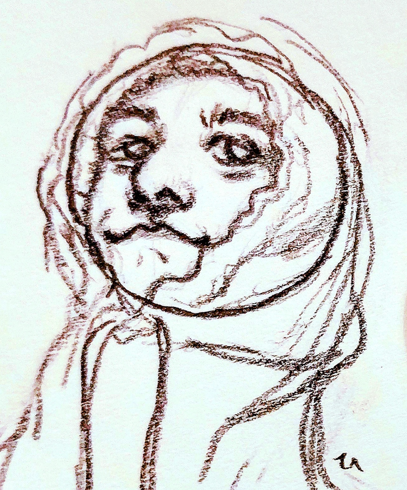 the image is a charcoal drawing of a woman's face. the woman is wearing a hood that covers her head and part of her face. only her face is visible.  the drawing is done in a loose, expressive style, and the woman's expression is one of contemplation.