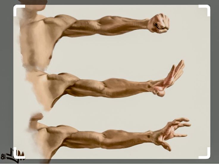 the image shows three studies of a man's right arm from the shoulder to the hand in various poses. the top arm is extended with a clenched fist, the middle arm is raised with an open hand, and the bottom arm is reaching forward with the fingers splayed. the style is realistic and focuses on the anatomy of the muscles.