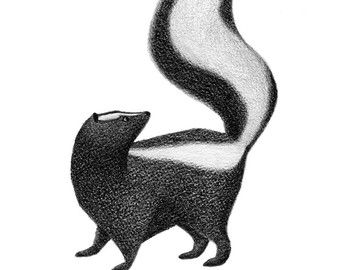 a black and white illustration of a skunk with its tail raised. the skunk is looking up.