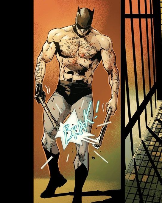 the image is a panel from a comic book, likely depicting a scene of intense action. it features a heavily muscled, hairychested batman figure, wearing a darkcolored wrestlingstyle outfit.  he is bloody and bruised, and in the act of breaking wooden weapons against each other. the background suggests a dark, gritty alleyway with prison bars visible. the overall style is dark and violent, conveying a sense of struggle and damage.  the dynamic pose and impact effects emphasize the action.