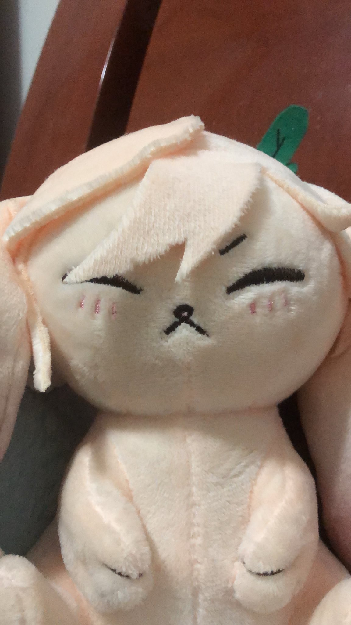 a closeup of a white plush bunny toy with pink cheeks and a small green leaf on its head. the bunny is sitting with its paws tucked in and has a slightly sad expression. the toy is very soft and fluffy.