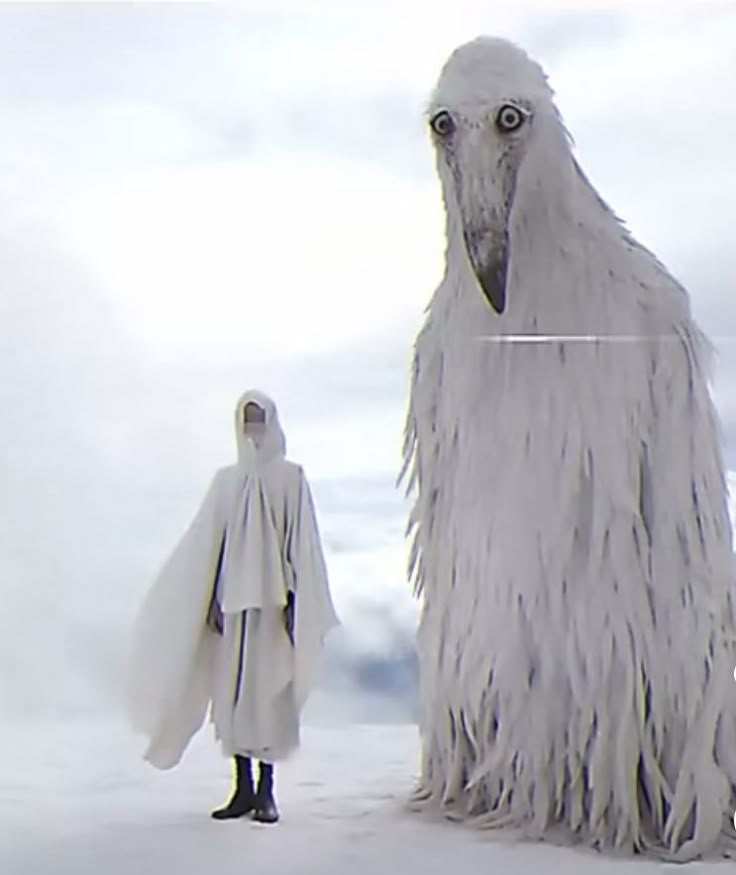 the image depicts a surreal scene with a hooded person standing next to a giant, white, birdlike creature in a snowy landscape. the bird has a long beak and unsettling eyes. the hooded person is wearing a white cloak and black boots. the background is a hazy, cloudy sky. the overall mood is unsettling and dreamlike.