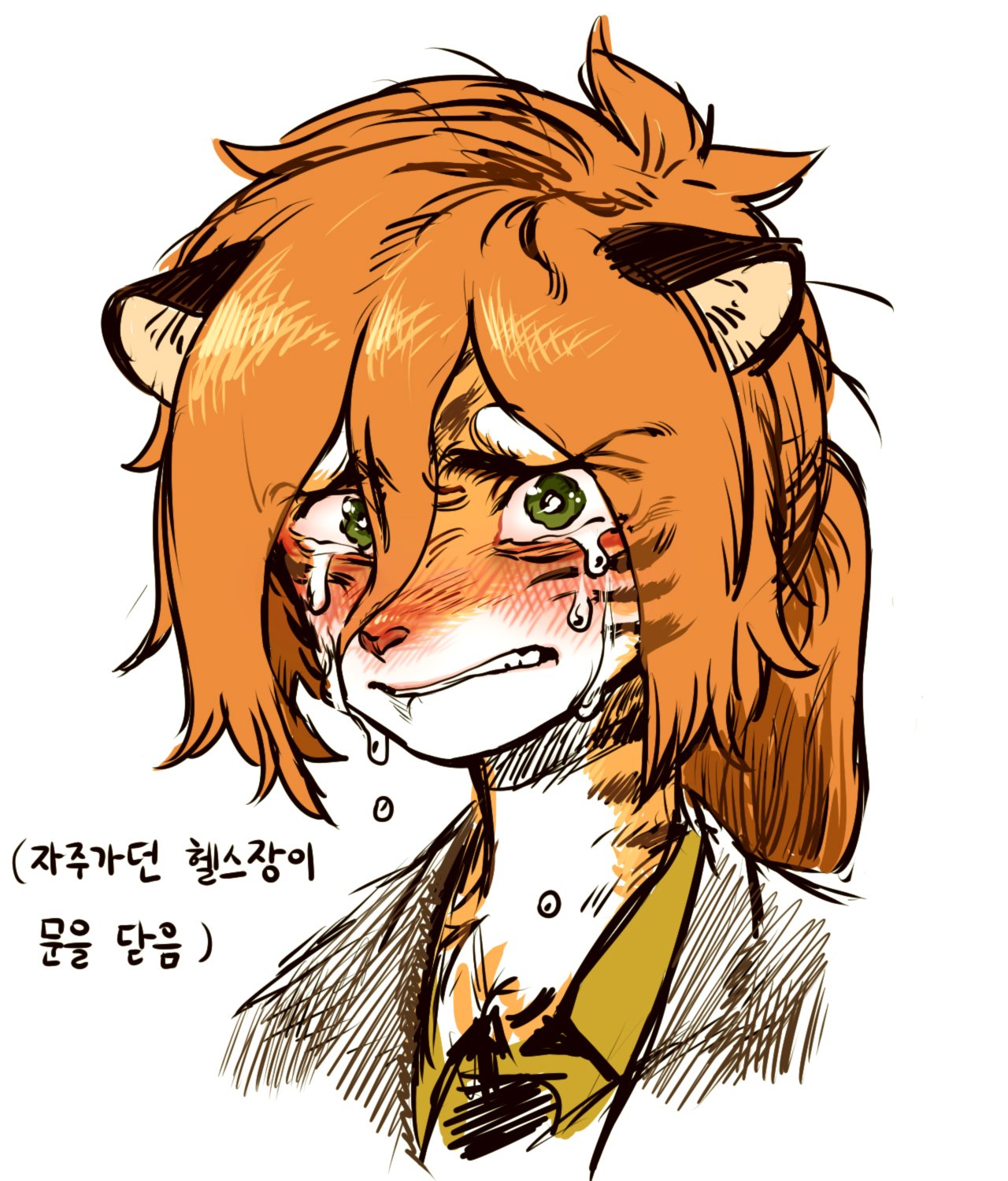a digital drawing of an anthropomorphic tiger with long orange hair crying with a sad expression on their face. they are wearing a brown jacket with a yellow shirt. the art style is animeinspired, with a cute and kawaii feel.  the words "자주가다 헬스장이" (which translate roughly to "often go to the gym") and "몸 답답)" ("body feels stuffy") are written in korean in the corner.