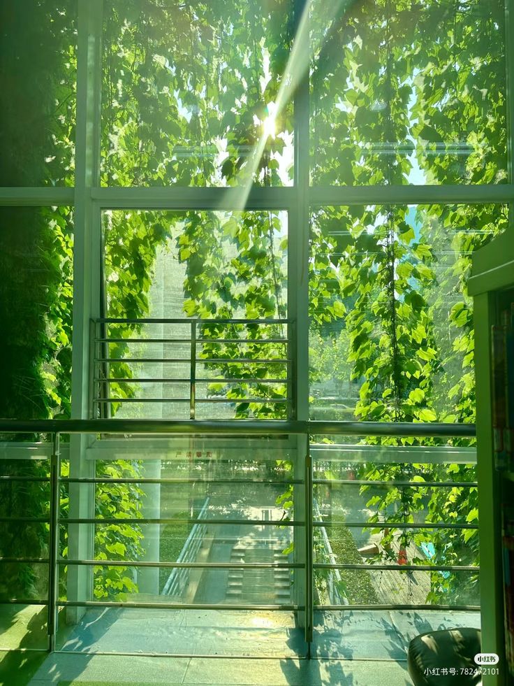 the image shows a large window in a building, offering a view of a lush green outdoor area. sunlight streams through the window, illuminating the vibrant green leaves of trees and plants that cover much of the view. a metal railing is visible in the foreground, suggesting that the window is part of an elevated walkway or balcony. stairs can be seen leading down into the green space. the overall mood is bright, peaceful, and summery, with the sunlight enhancing the lush greenery.