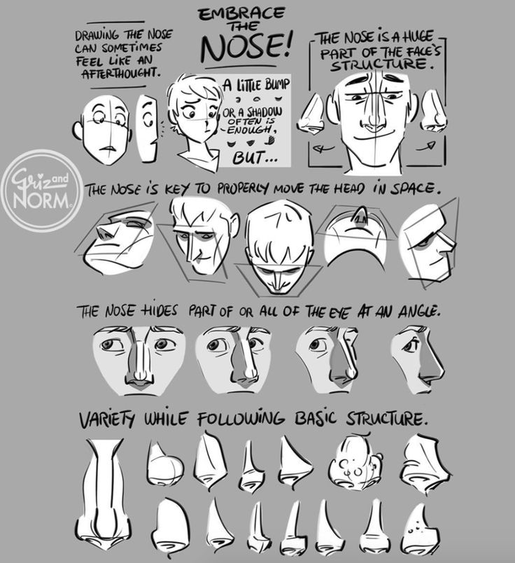 the image is a cartoon illustration that provides a tutorial on drawing noses. it emphasizes embracing the nose as a crucial part of the face's structure, showcasing various nose shapes and angles. the guide covers drawing techniques, how the nose affects head movement in space, and its relationship to the eyes. there is a variety of different noses to illustrate the text "variety while following basic structure". the illustration is labeled with the names "griz and norm".