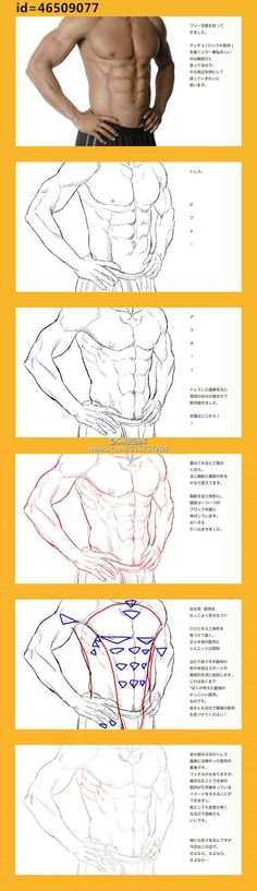 the image is a stepbystep tutorial on how to draw a male torso with muscles. the tutorial is in japanese and shows the different muscle groups and how to draw them. the first step is to draw the outline of the torso. the next step is to add the muscles of the chest and abdomen. the third step is to add the muscles of the back. the fourth step is to add the muscles of the arms. the fifth step is to add the details, such as the nipples and the belly button. the tutorial is helpful for artists who want to learn how to draw realistic human figures.