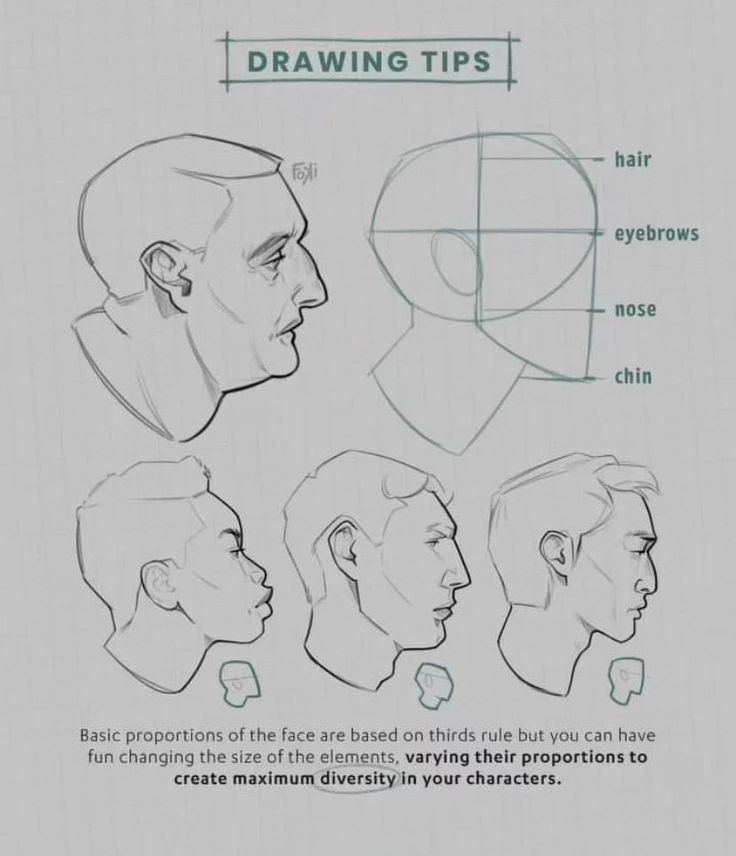 the image is an art tutorial providing drawing tips on facial proportions. it showcases several side profiles of heads, demonstrating how to apply the "rule of thirds" for basic proportions while emphasizing the creative freedom to vary element sizes for character diversity.  a simplified head construction is included to illustrate the placement of major facial features: hair, eyebrows, nose, and chin. the text encourages artists to experiment with these proportions to create unique characters.  the style is a light pencil sketch.