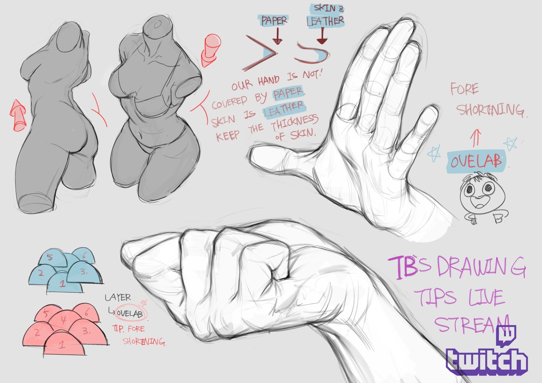the image is a digital drawing tutorial focused on anatomy and perspective in figure drawing, specifically hands and torso.  the tutorial shows sketches of female torsos from different angles, emphasizing the importance of understanding underlying structure. several hand sketches illustrate foreshortening and the concept of overlapping layers.  the artist includes notes explaining techniques, such as maintaining the thickness of skin over the underlying structures and the layering of forms in foreshortened views.  the tutorial also indicates it comes from a live stream on twitch under the name "tbs drawing tips".  the overall style is a loose, dynamic sketch style in grayscale.