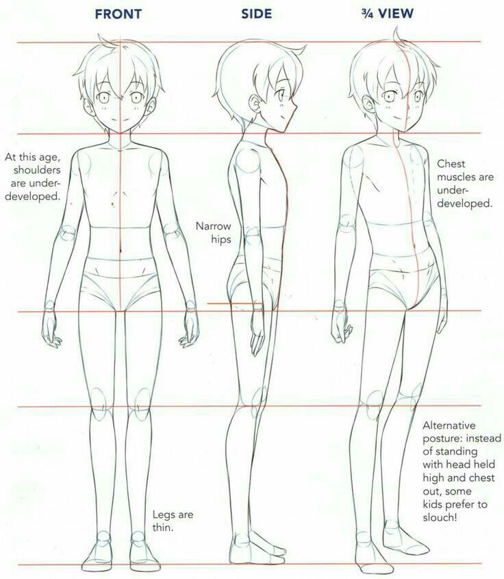 the image presents a drawing tutorial demonstrating the body proportions and posture of a young child (likely prepubescent) from three different viewpoints: front, side, and 3/4 view.  each view shows a stylized, somewhat animeesque figure with guidelines to illustrate the underdeveloped chest muscles, narrow hips, and thin legs typical of this age group. text annotations highlight key anatomical features and provide an alternative posture, showing a slouched position commonly adopted by children.  the style is clean and easy to follow, ideal for artists aiming to draw children accurately.