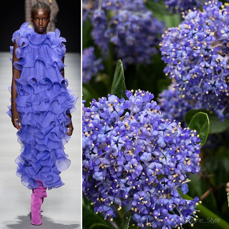 a fashion model walks the runway in a stunning blue dress made of layered ruffles. the dress is long and flowing, and the model's dark skin and bright eyes make her look even more striking. the background is blurred, but you can see a patch of bright purple flowers that complement the dress.