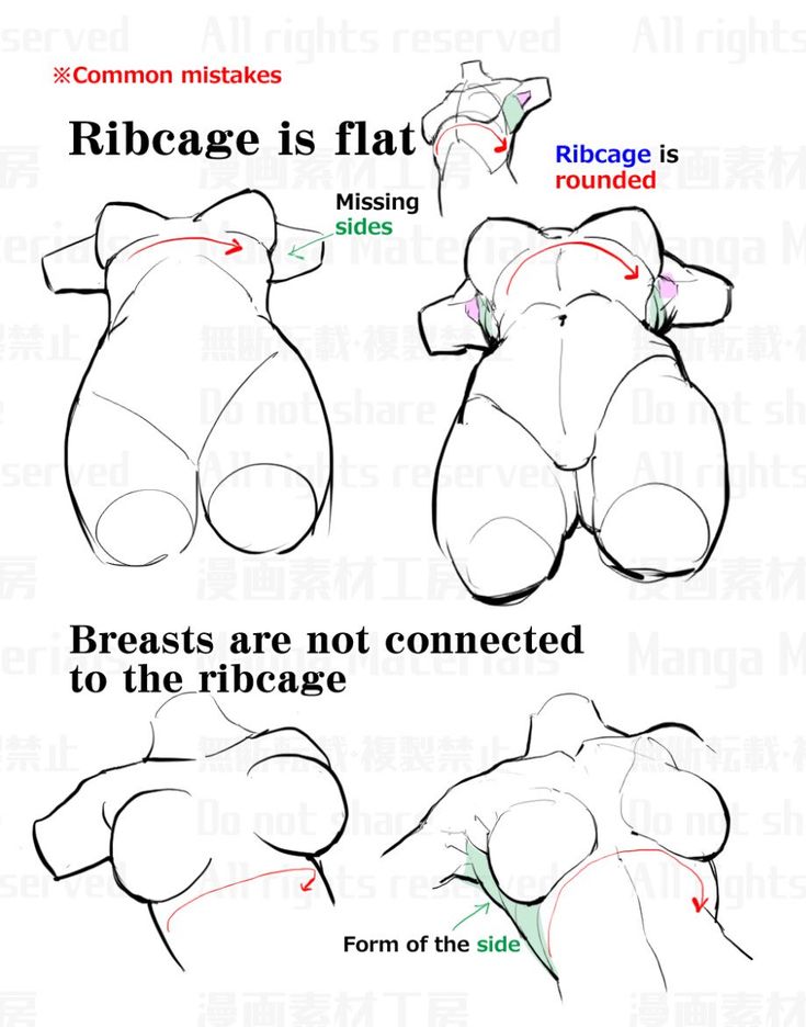 the image is a drawing tutorial focusing on common mistakes made when drawing the female torso in anime/manga style. it highlights the correct anatomical placement and form of the ribcage and breasts, contrasting correct and incorrect depictions.  the tutorial uses simple line drawings to illustrate the points, showing examples of flat ribcages, improperly positioned breasts that aren't connected to the ribcage, and the importance of showing the sides of the ribcage for a more realistic and natural look.  the text clearly labels the areas of focus and explains the errors to avoid.