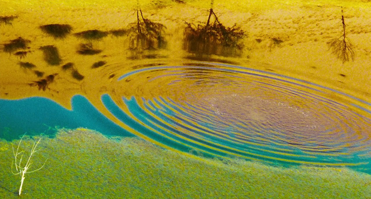 a close up of water ripples with concentric circles forming around an unknown source, spreading outwards on a still body of water. the water is a light blue and green with yellow sand and trees reflected on the surface.