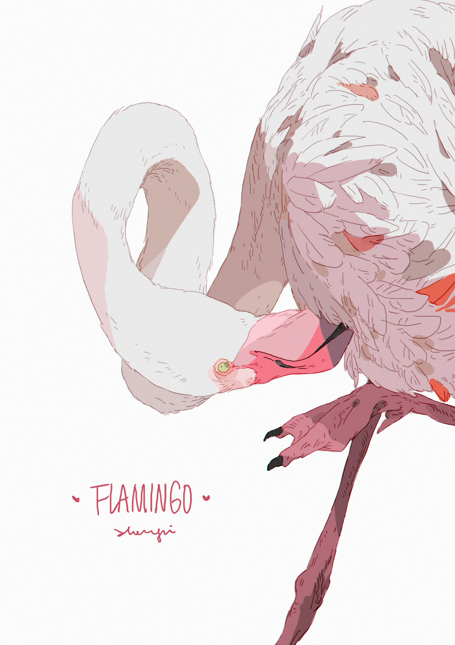 a colorful illustration of a flamingo with white feathers and pink beak and legs. the flamingo is shown with its neck bent back, grooming itself with its beak. it is drawn in a cartoonlike style with a soft and colorful palette.