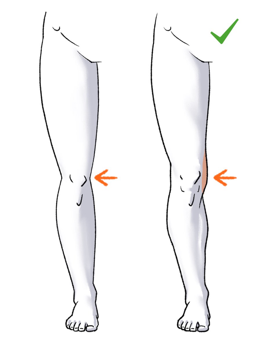this image is a drawing tutorial that compares two ways of drawing the human leg. the left drawing shows a more simplified, less realistic leg, while the right drawing shows a more detailed and anatomically correct leg with muscular definition on the calf. an orange arrow points to the knee on each leg, and a green check mark appears above the more realistic leg on the right, indicating that it is the better drawing.
