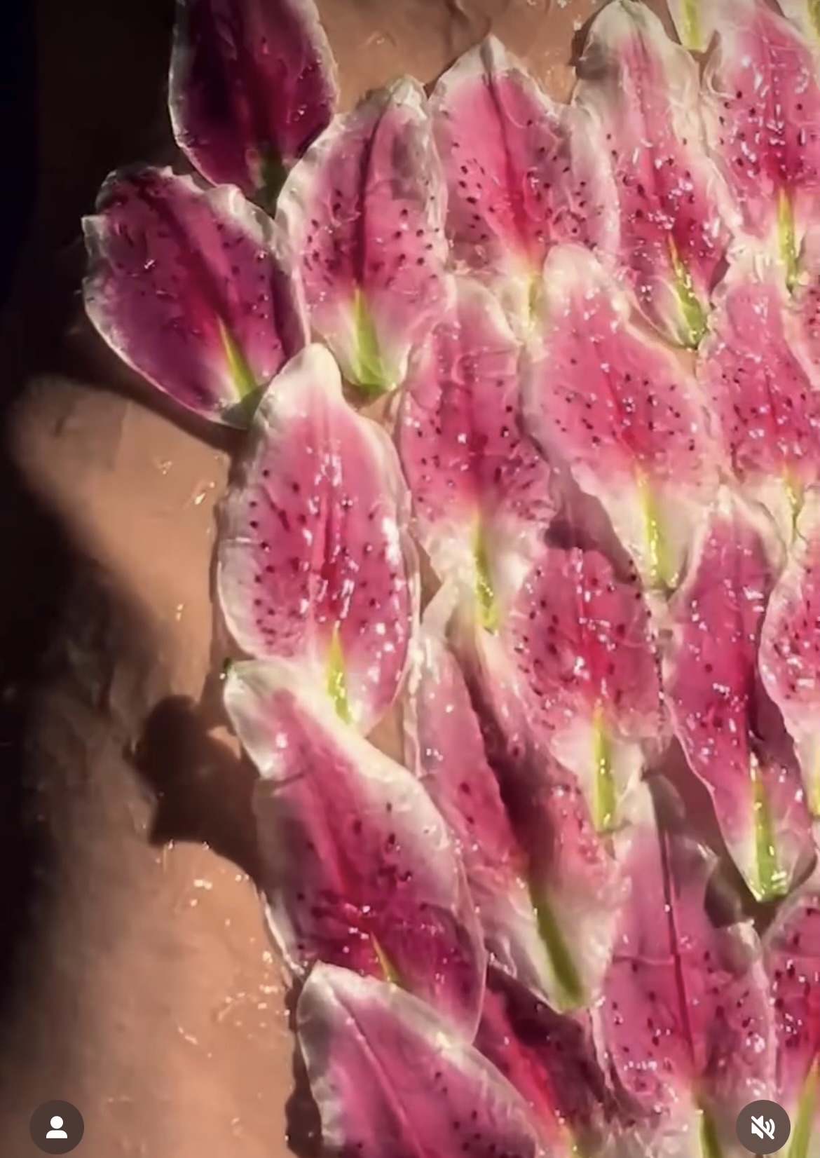 a closeup image showcasing numerous pink lily petals delicately arranged on wet skin. the petals are vibrant and appear almost translucent in places, with the water creating a glistening effect. the skin underneath is smooth and a light beige tone. the overall aesthetic is sensual, artistic, and suggestive of a spa or wellness treatment.  the lighting creates a soft, diffused glow on the petals and skin.
